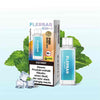 Flerbar Prefilled Pods – Ice Mint 2er Pack